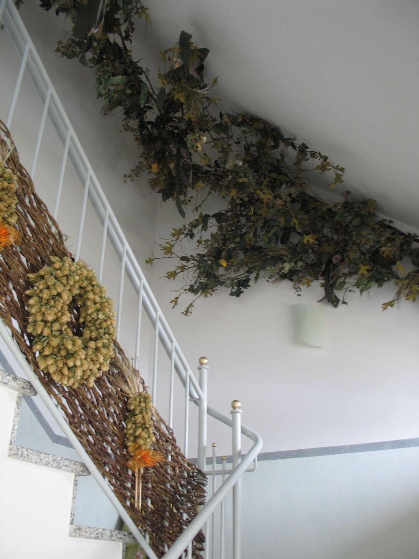 Hotel garni Hopfengold Wolnzach Esterno foto